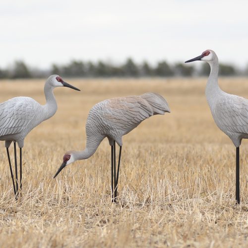 Western Series Sandhill Crane Decoys 6 Pack - Deception Decoy Co.