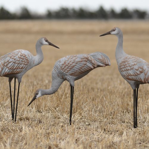 sandhill crane figurines