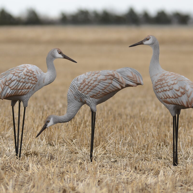 Western Series Sandhill Crane Decoys 6 Pack Deception Decoy Co